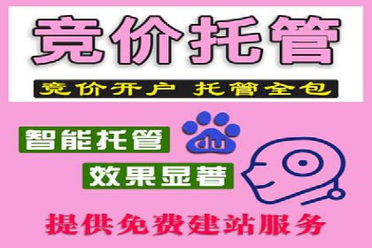 SEM推广代运营公司：实战案例解析